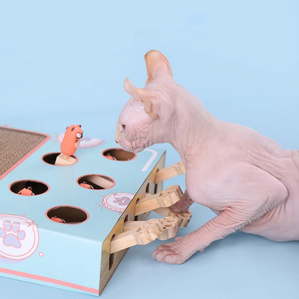 Katzenspiel Box Labyrinth Interaktiv