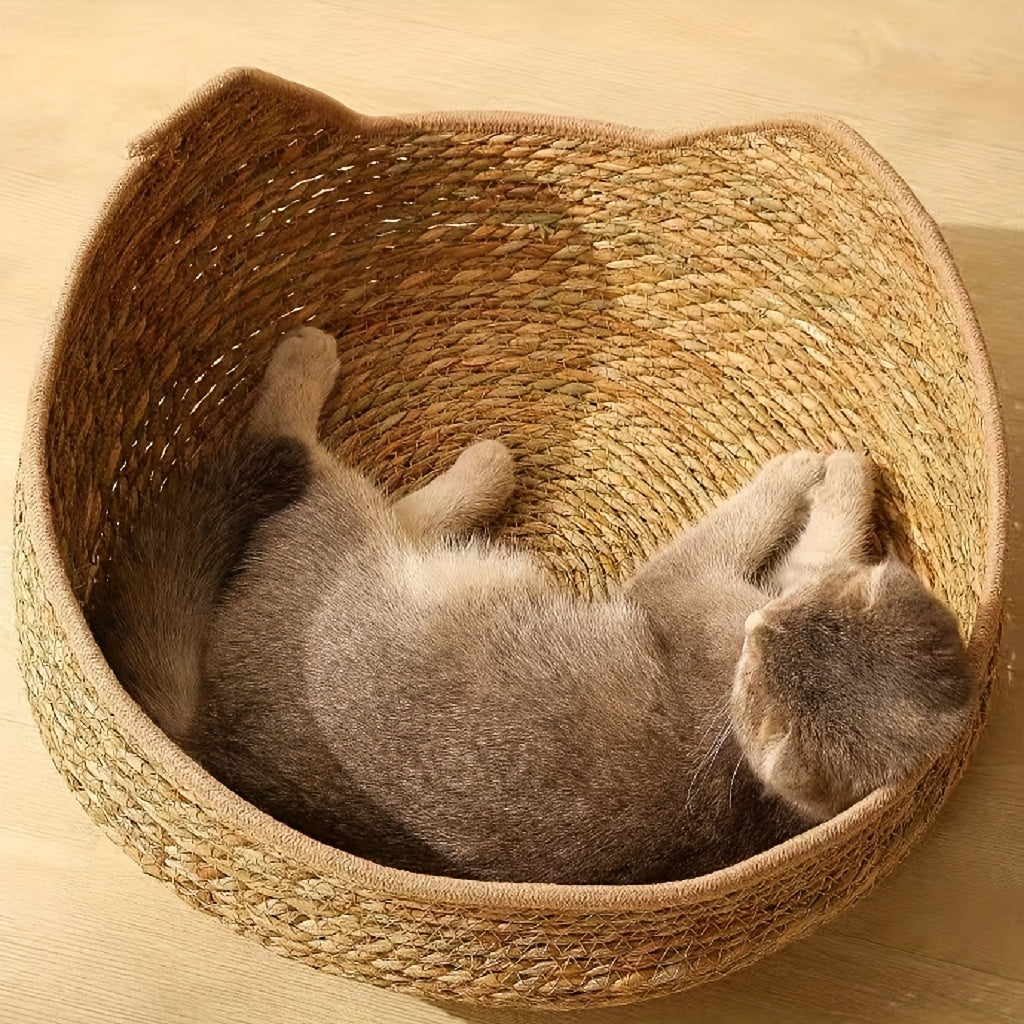 Large Cat Bed with Removable Cushion