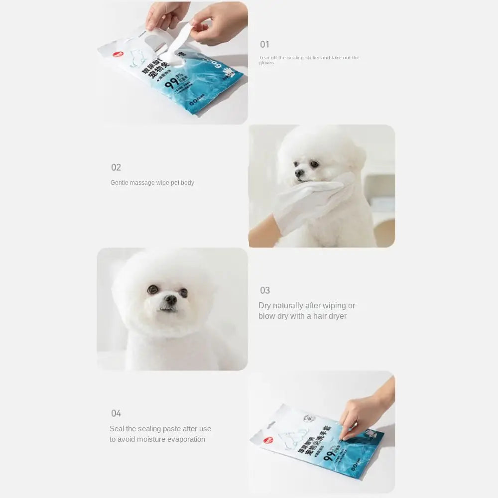 Cat Disposable Cleaning Gloves