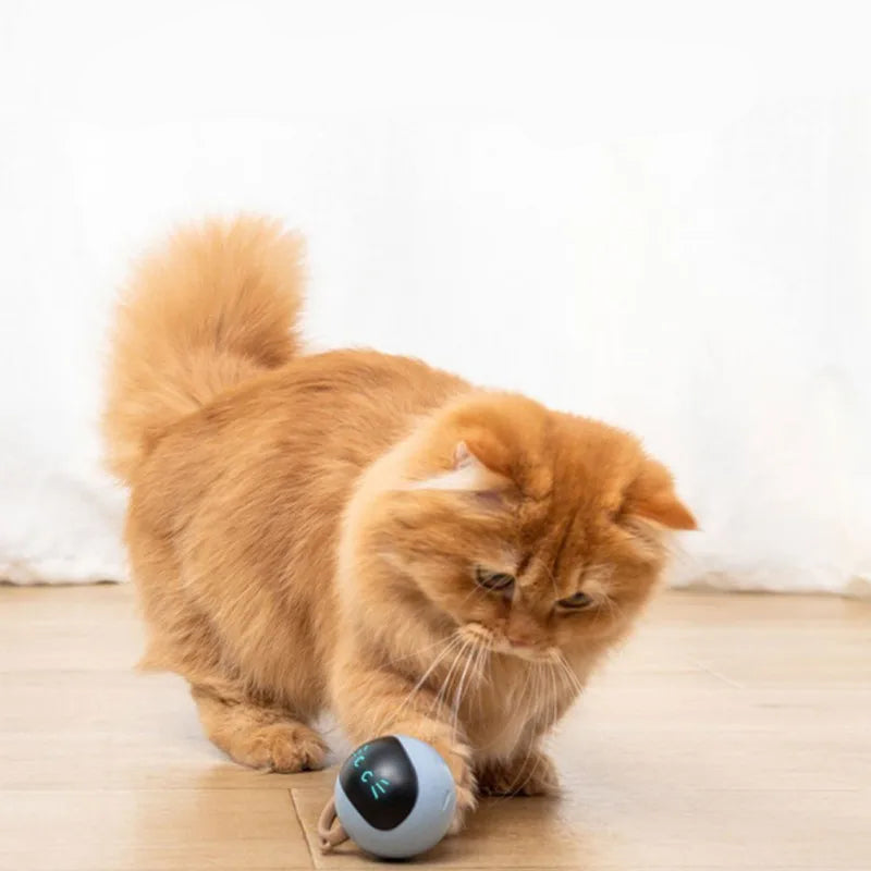 Interactive Smart Cat Toy