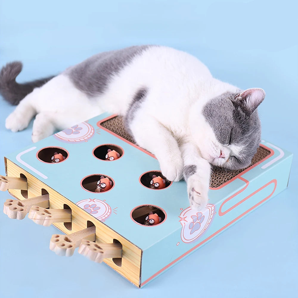 Cat Game Box Maze Interactive