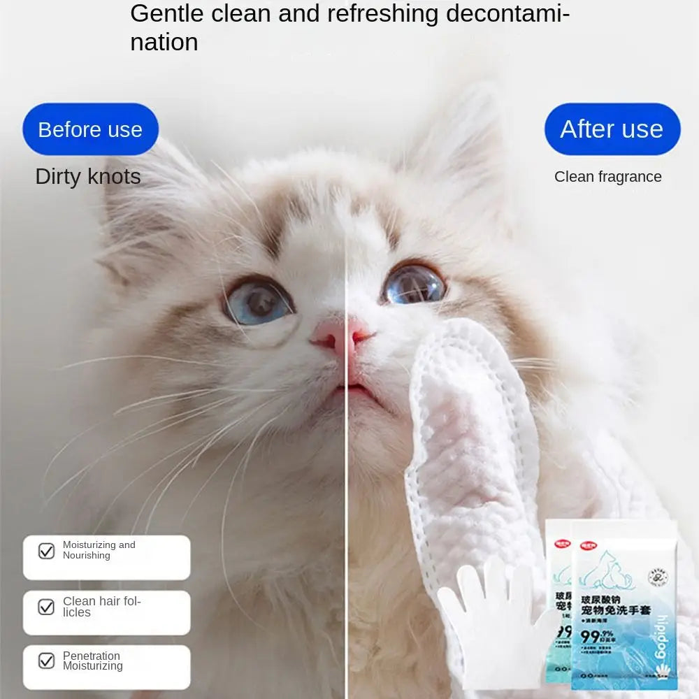 Cat Disposable Cleaning Gloves