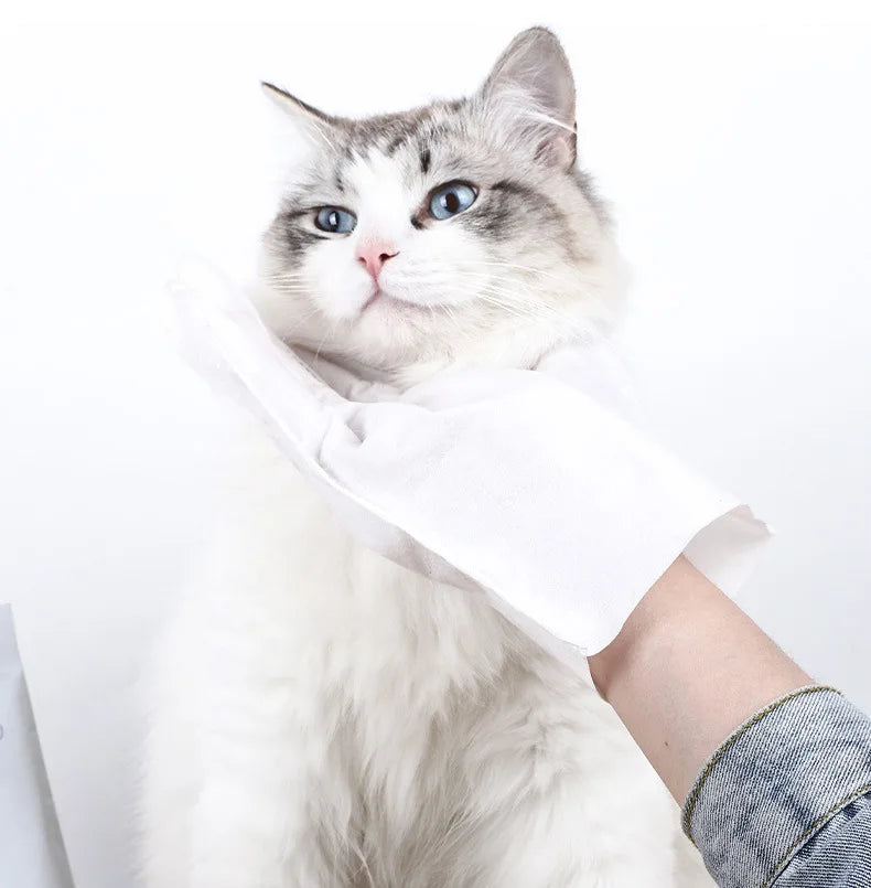 Cat Disposable Cleaning Gloves